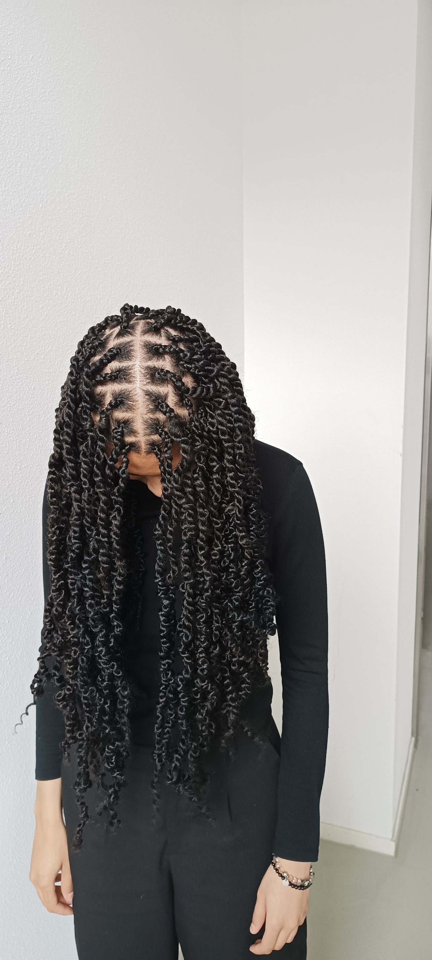 All Braids Hairstyles