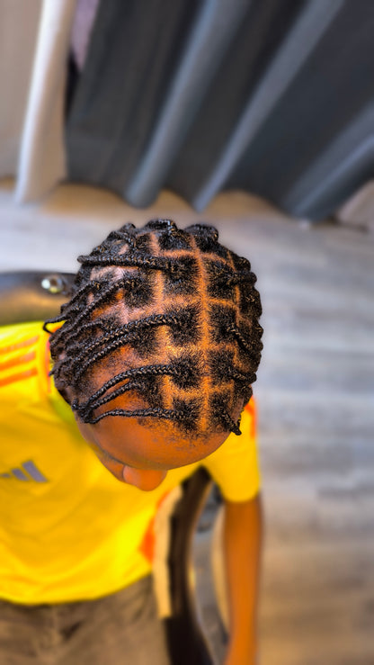 Men Two Strand Twist & Single Braids