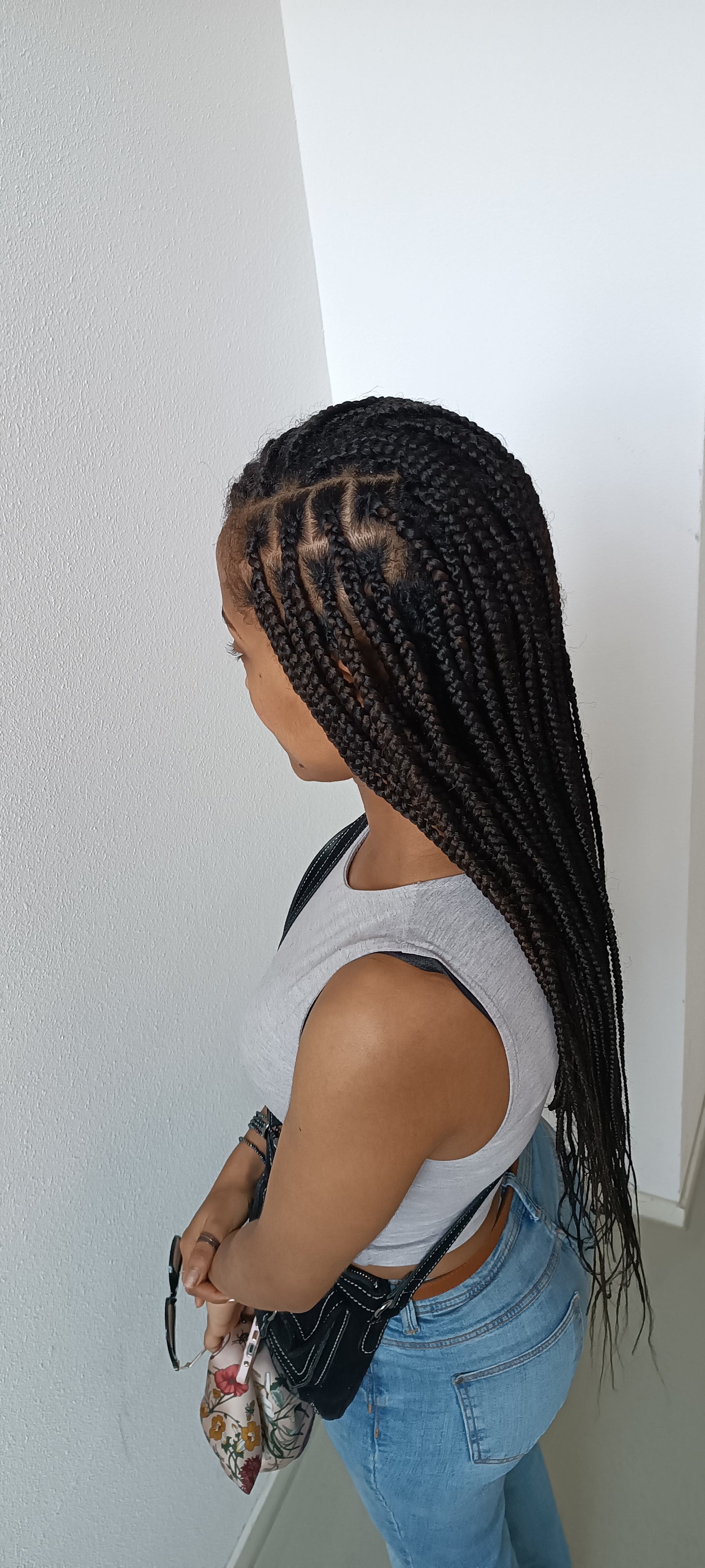 All Braids Hairstyles