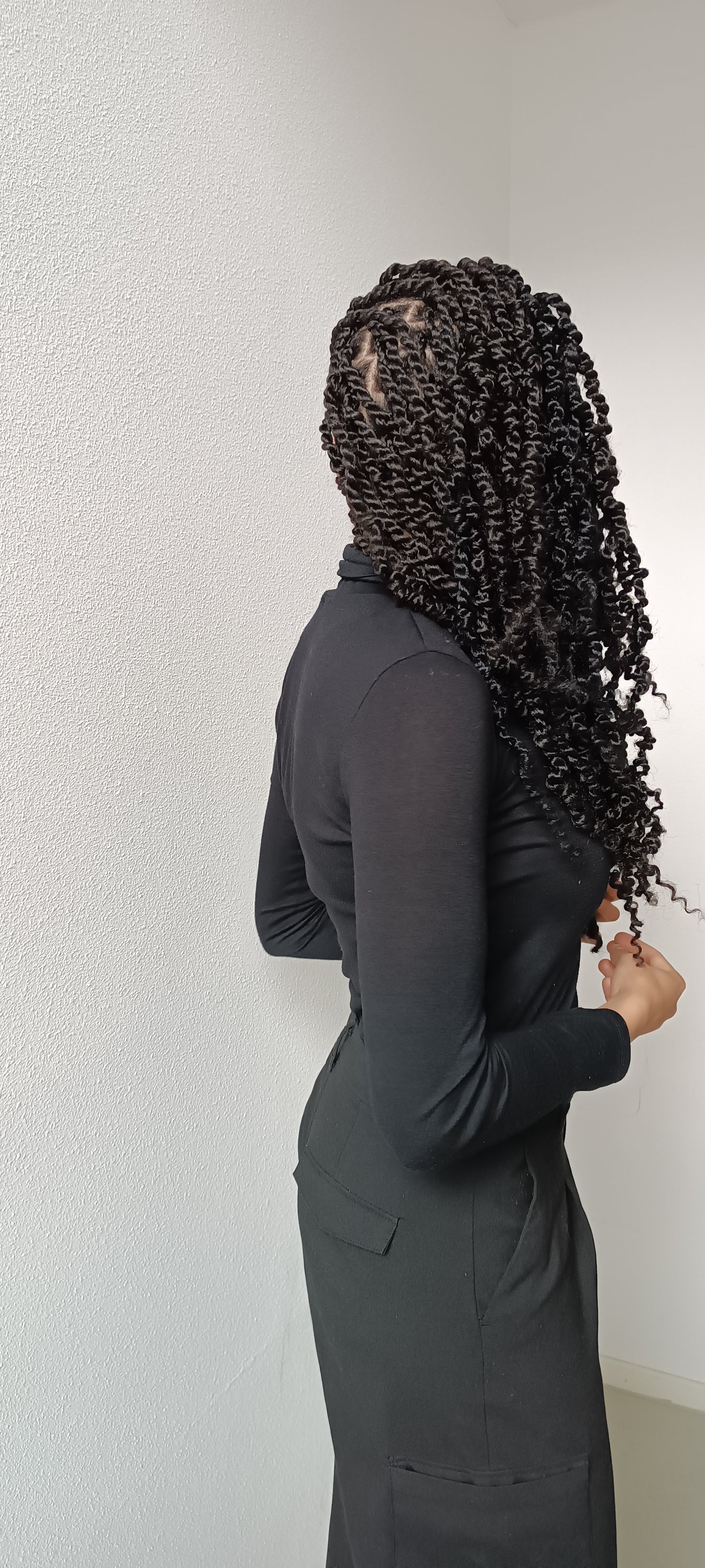 All Braids Hairstyles